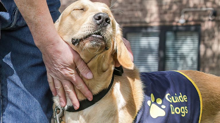 Guide Dogs Tea Party