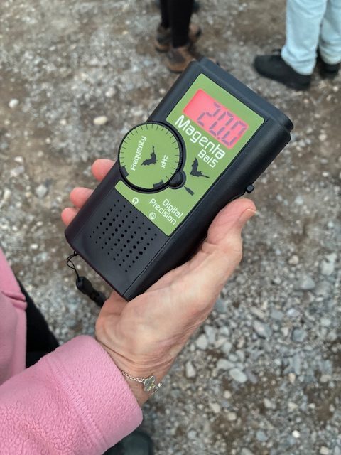 Tewkesbury Bat Walk