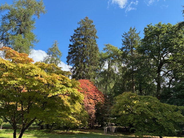Westonbirt