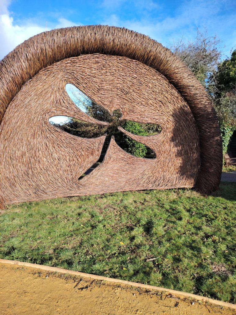 WWT Slimbridge