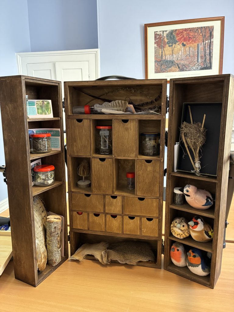 Cabinet of Curiosities