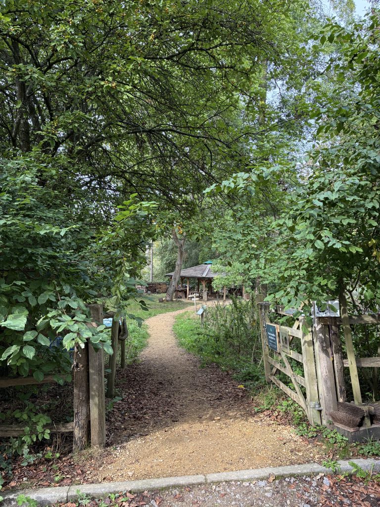 Tortworth Arboretum