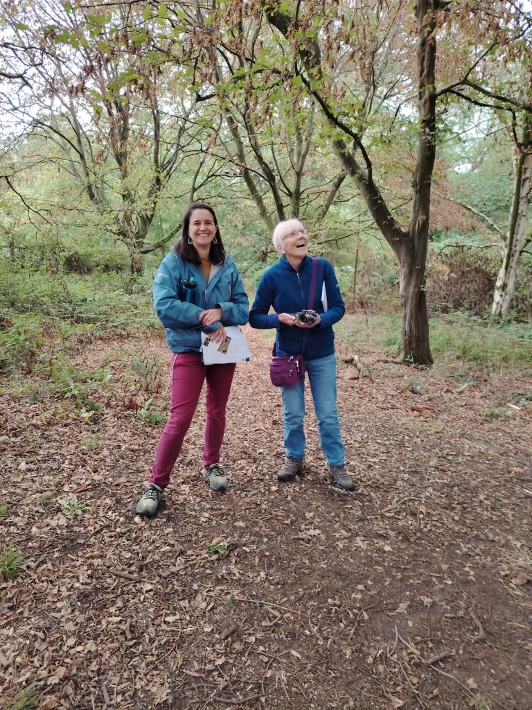 Tortworth Arboretum